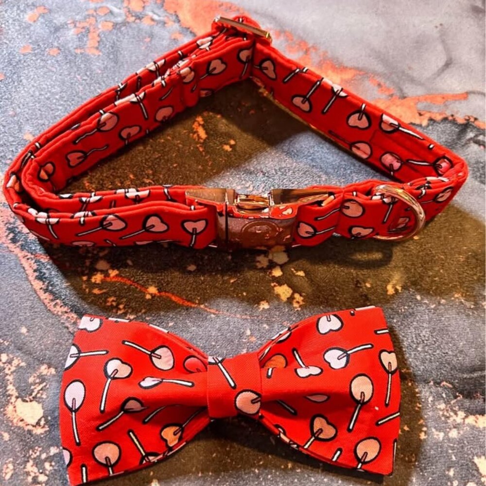 Dog Collar and bow size M